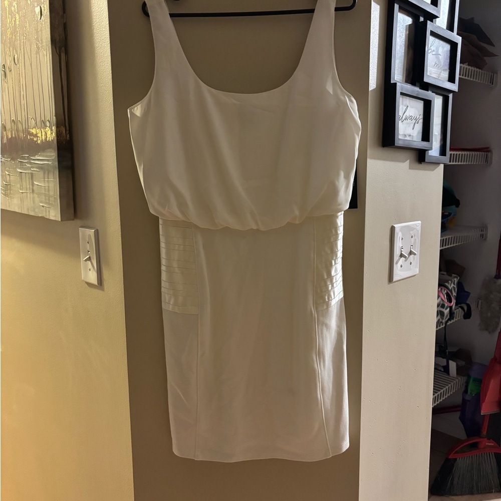 Tahari Arthur S. Levine Dress